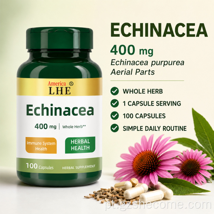 Cápsulas de Shecome Echinacea apoiam a saúde imunológica